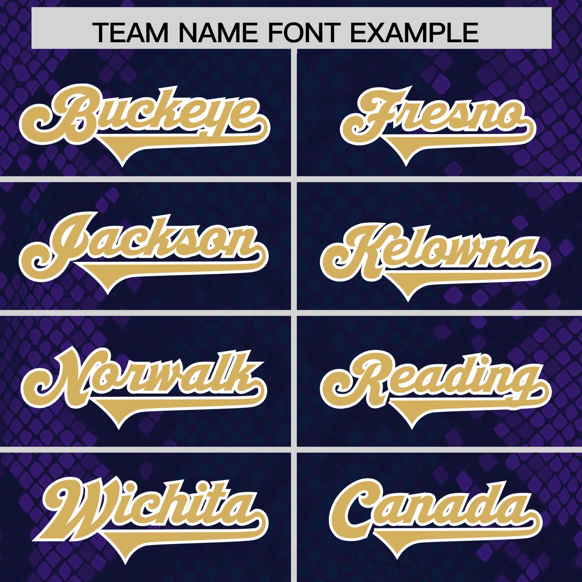 Custom Navy Personalized Snakeskin Graffiti Pattern Authentic Football Jersey