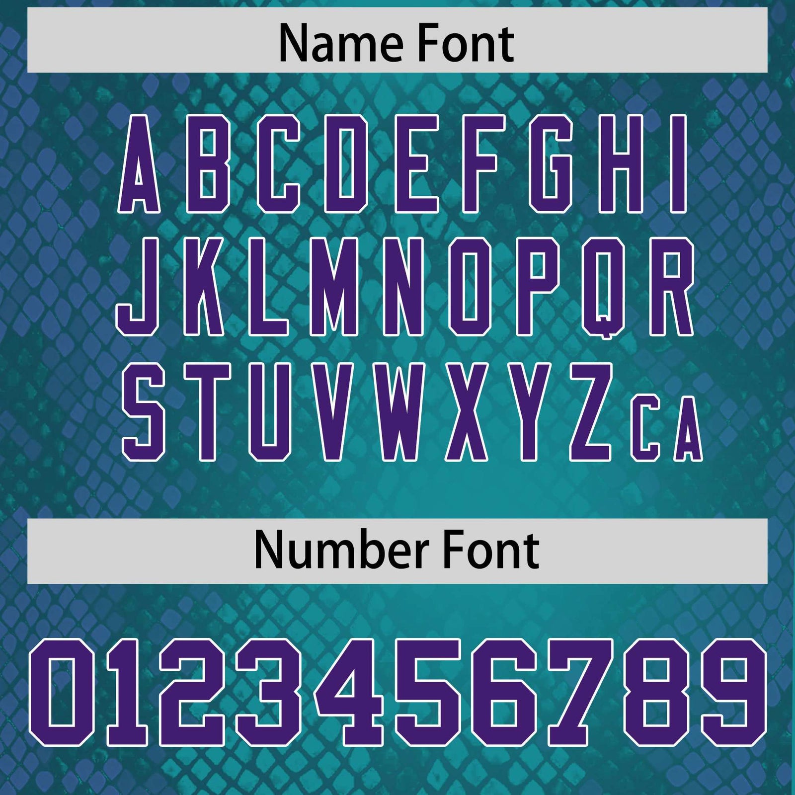 Custom Aqua Personalized Snakeskin Graffiti Pattern Authentic Football Jersey