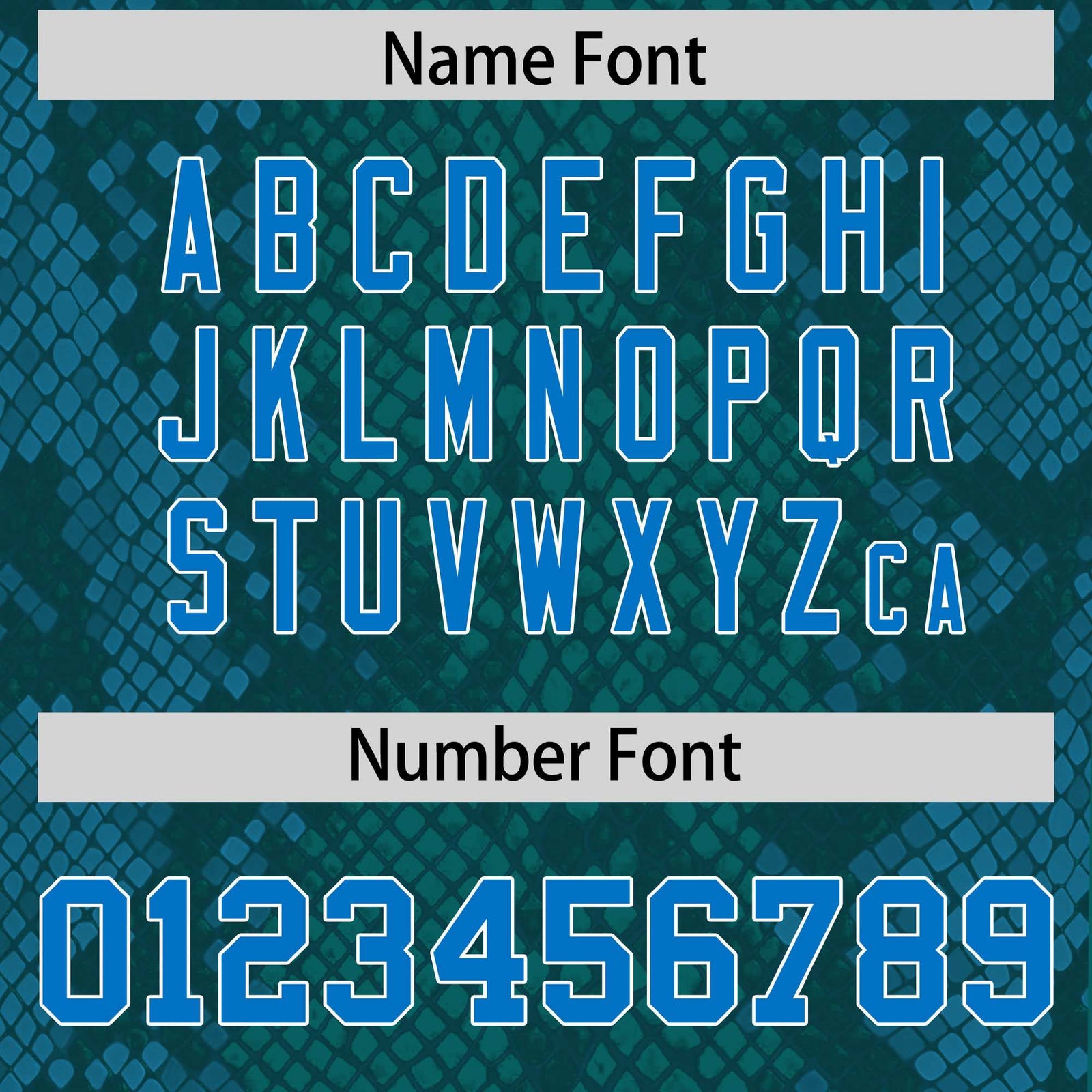 Custom Aqua Personalized Snakeskin Graffiti Pattern Authentic Football Jersey