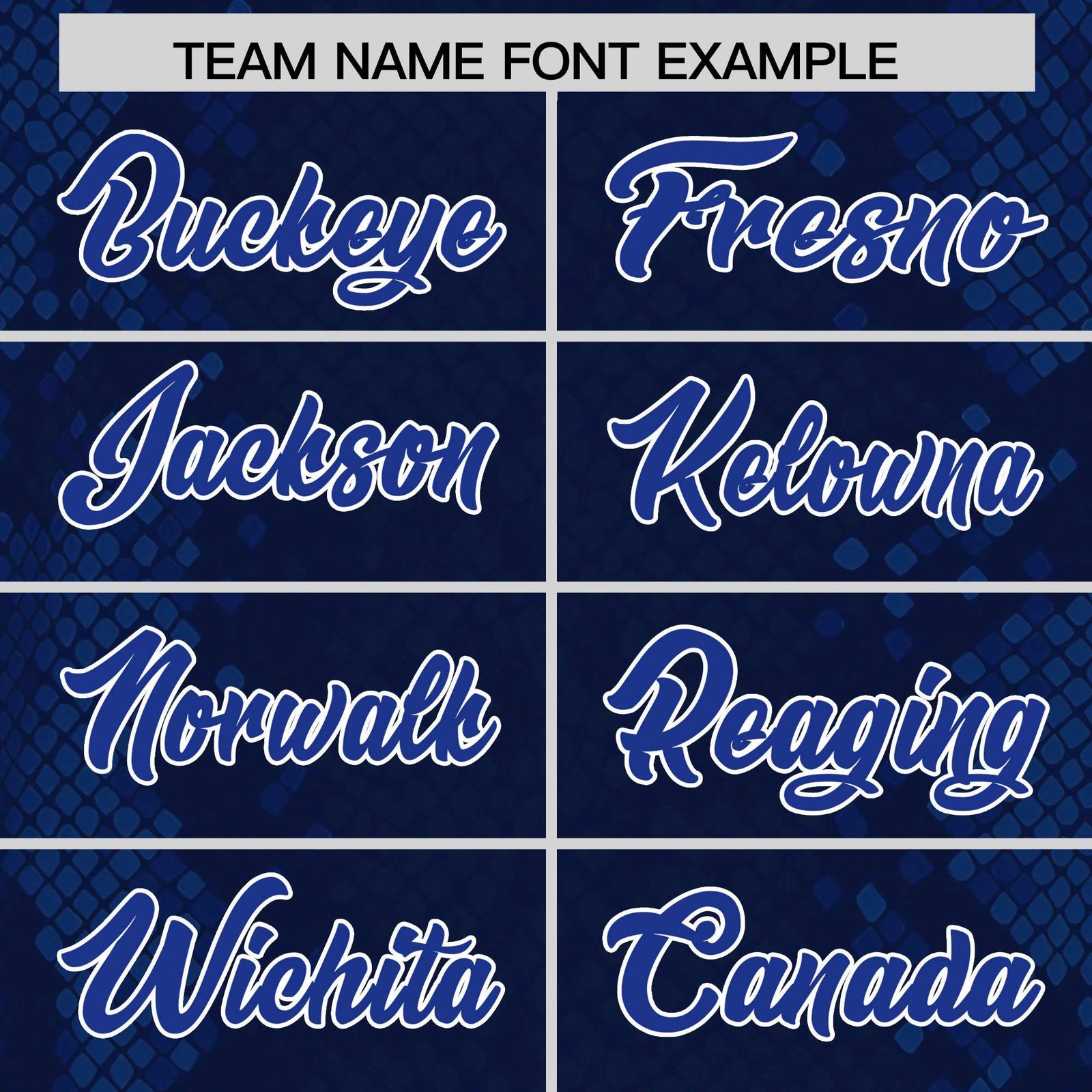 Custom Navy Personalized Snakeskin Graffiti Pattern Authentic Football Jersey