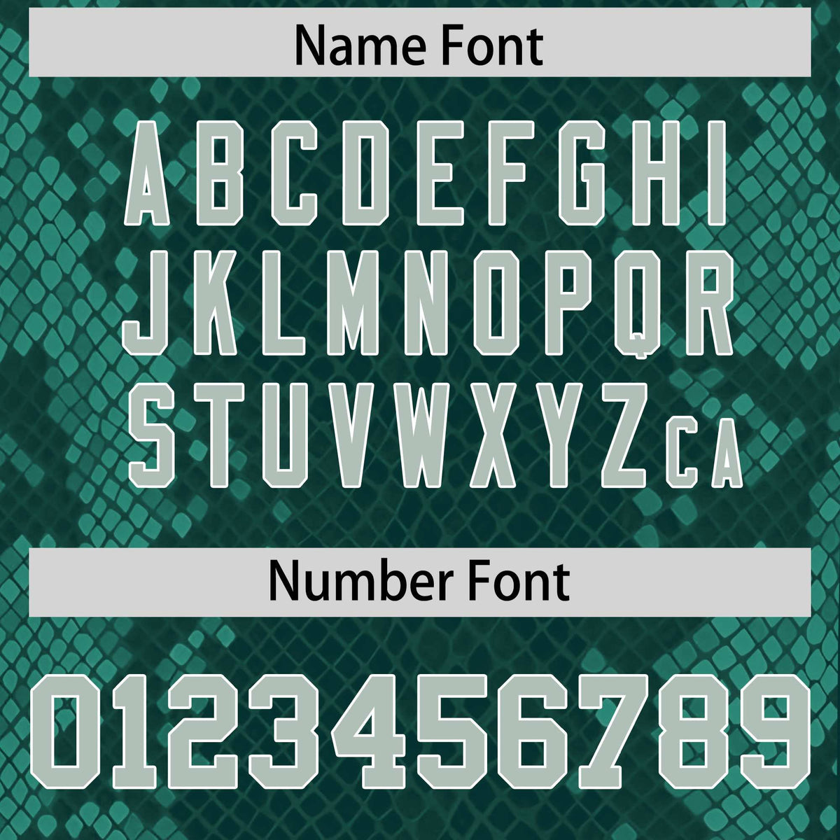 Custom Midnight Green Personalized Snakeskin Graffiti Pattern Authentic Football Jersey