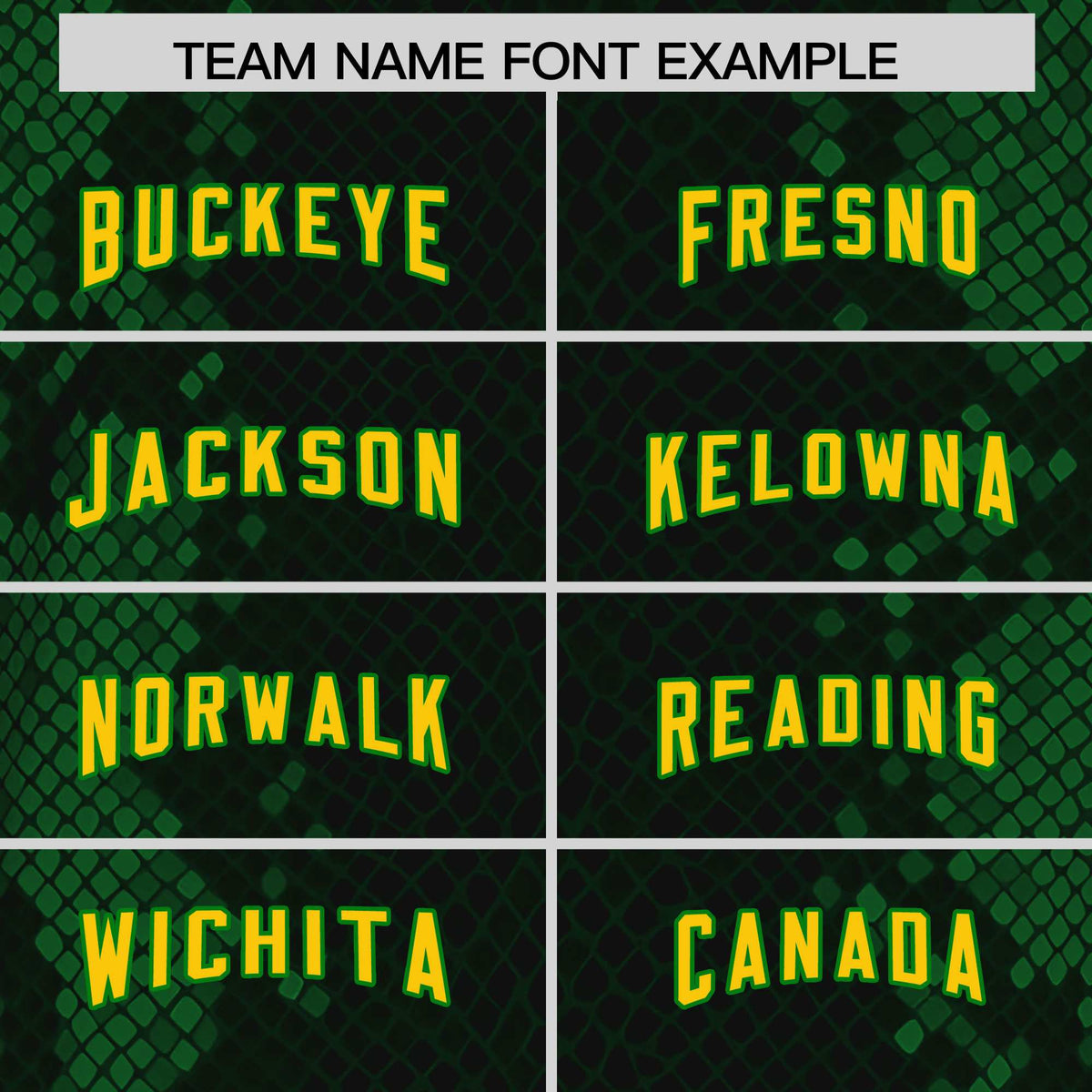 Custom Black Personalized Snakeskin Graffiti Pattern Authentic Football Jersey