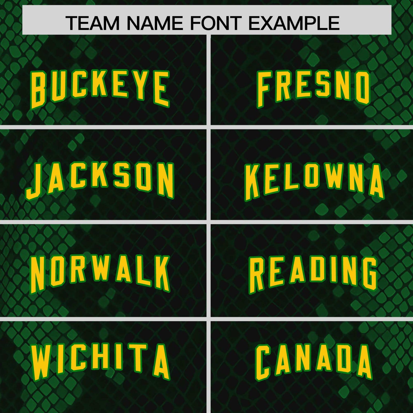 Custom Black Personalized Snakeskin Graffiti Pattern Authentic Football Jersey