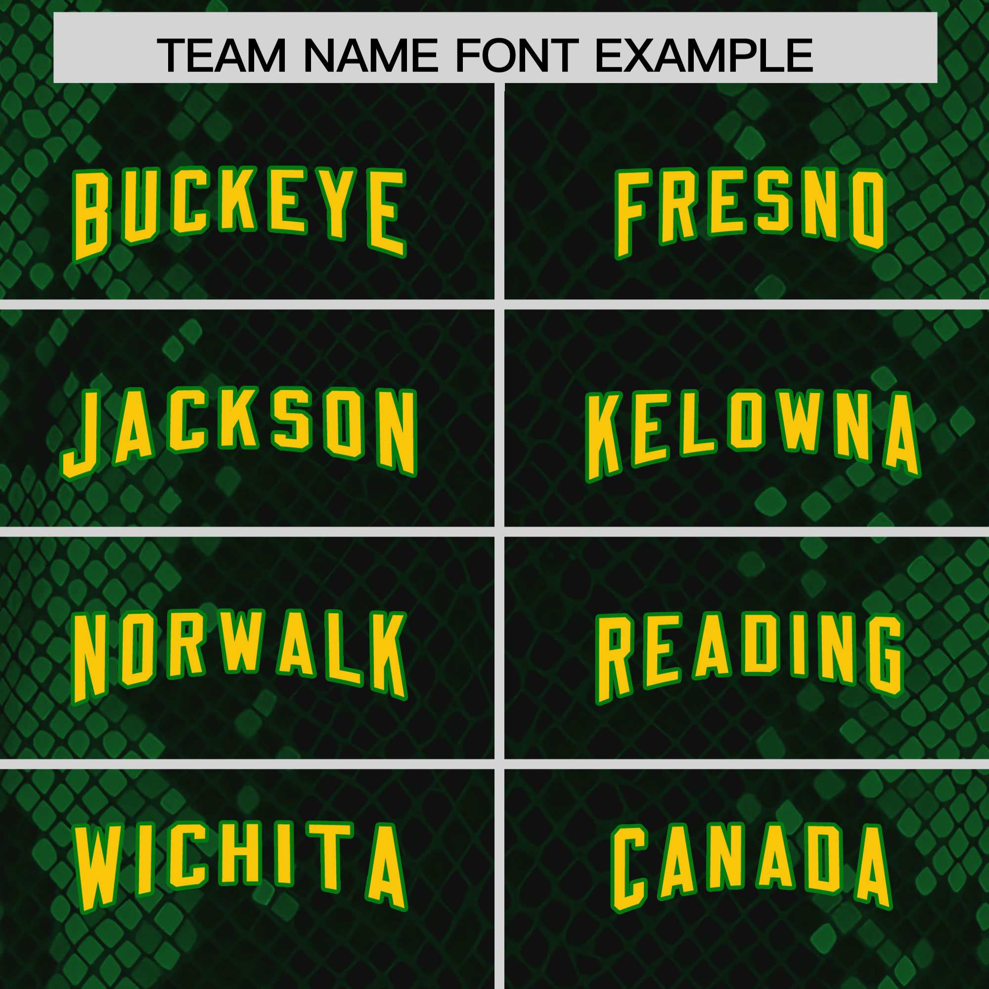 Custom Black Personalized Snakeskin Graffiti Pattern Authentic Football Jersey