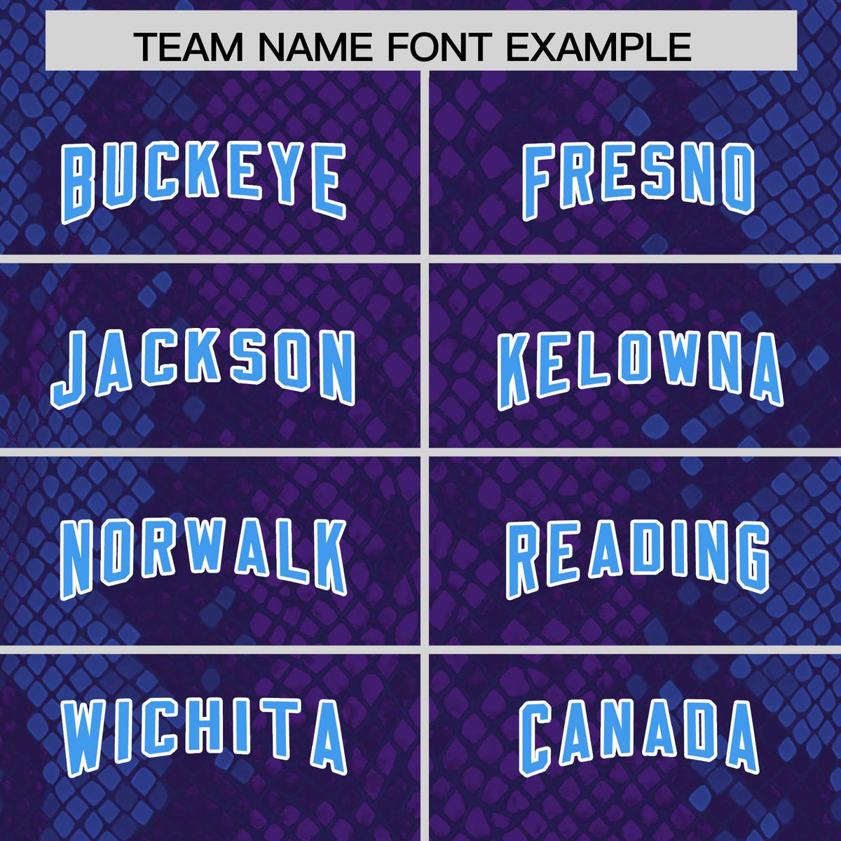 Custom Purple Personalized Snakeskin Graffiti Pattern Authentic Football Jersey