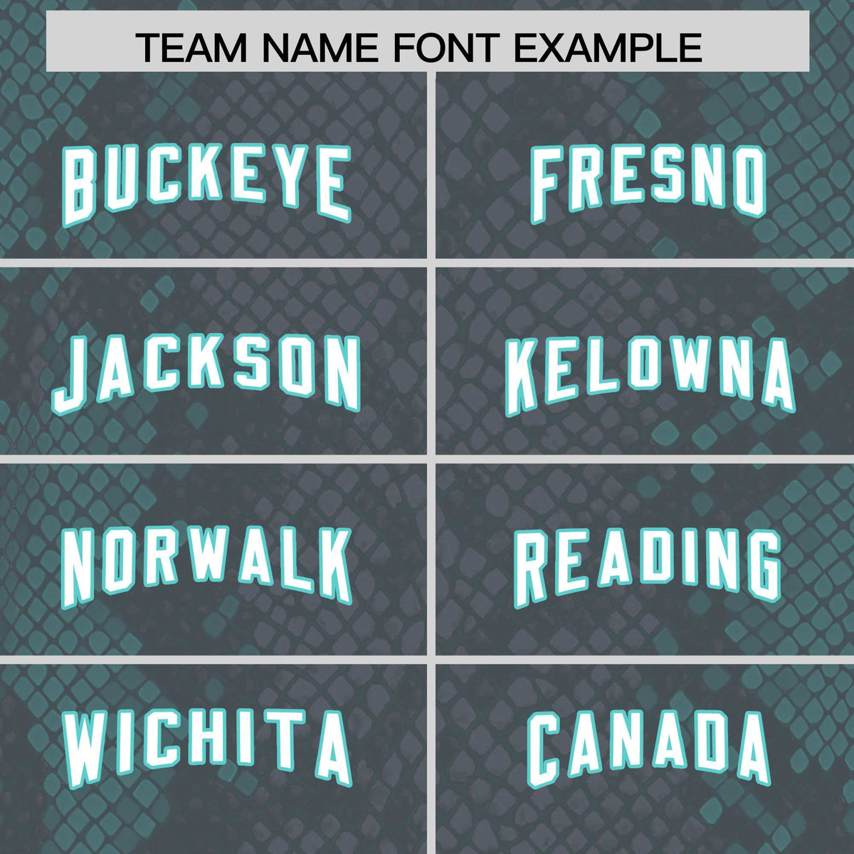 Custom Gray Personalized Snakeskin Graffiti Pattern Authentic Football Jersey