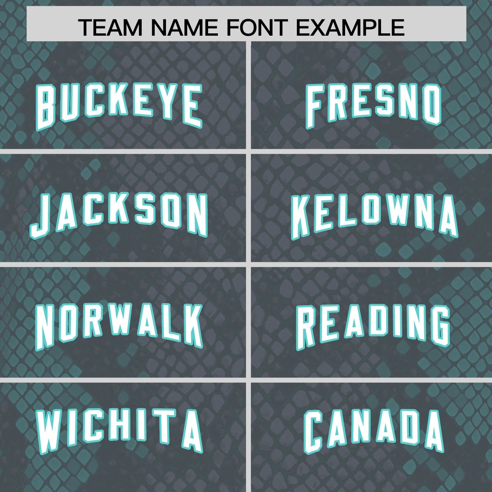 Custom Gray Personalized Snakeskin Graffiti Pattern Authentic Football Jersey