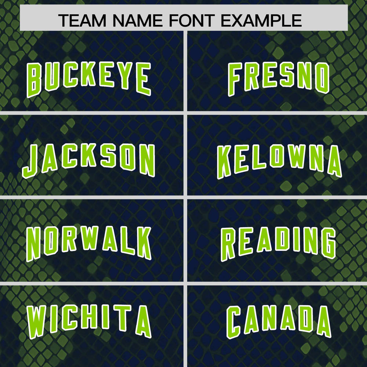 Custom Navy Personalized Snakeskin Graffiti Pattern Authentic Football Jersey