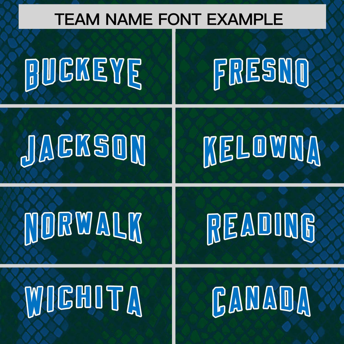 Custom Green Personalized Snakeskin Graffiti Pattern Authentic Football Jersey