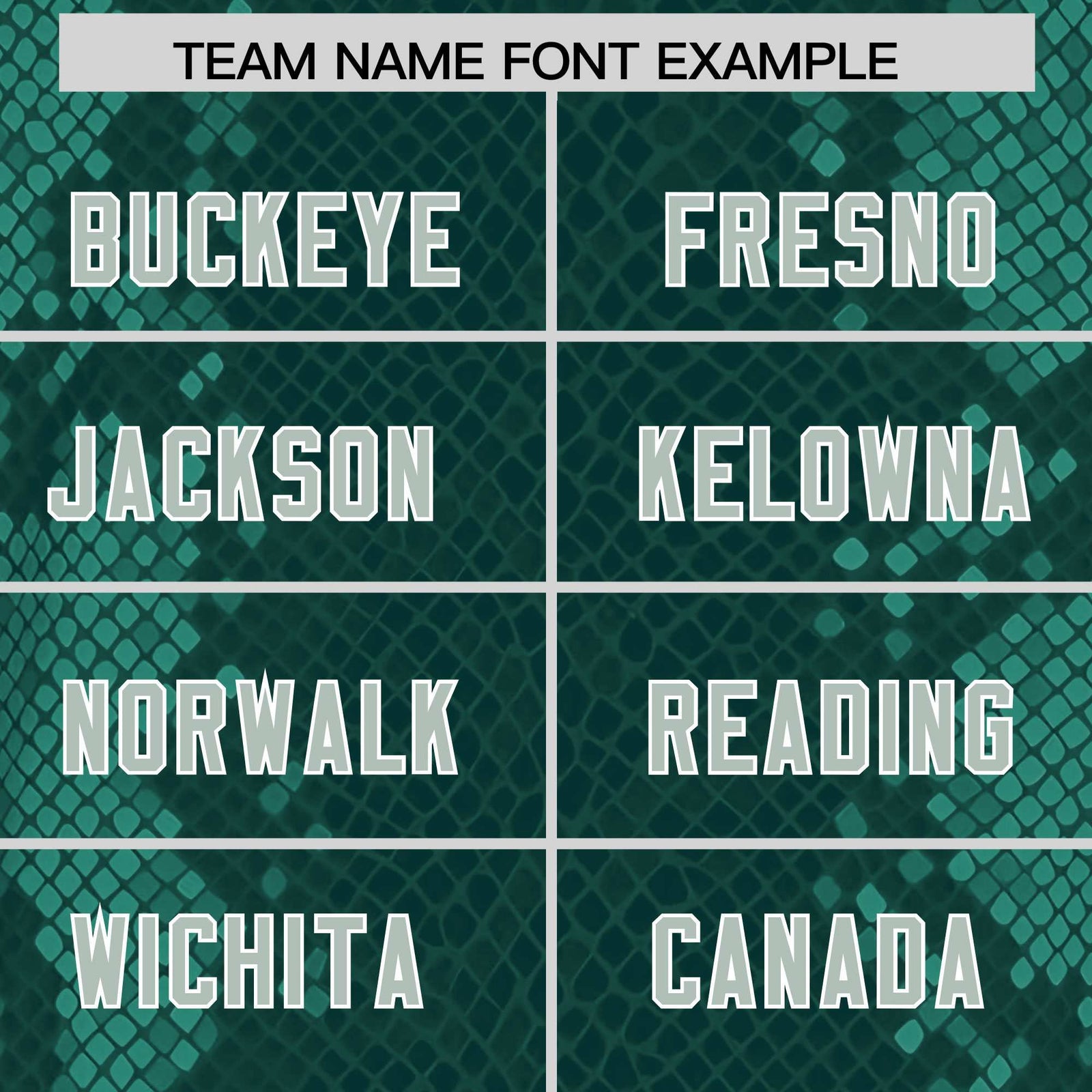 Custom Midnight Green Personalized Snakeskin Graffiti Pattern Authentic Football Jersey