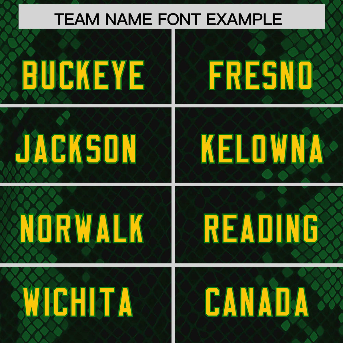 Custom Black Personalized Snakeskin Graffiti Pattern Authentic Football Jersey