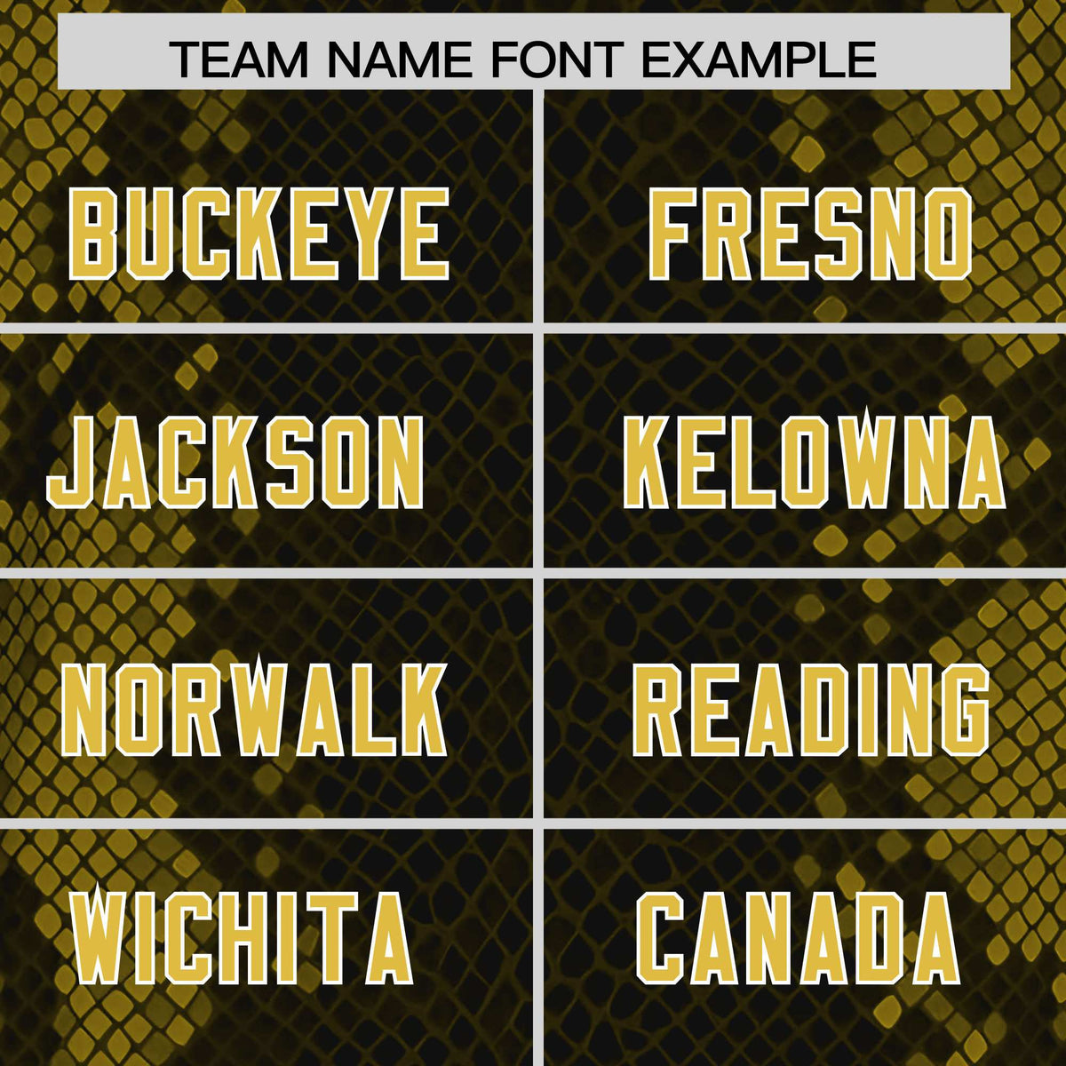 Custom Black Personalized Snakeskin Graffiti Pattern Authentic Football Jersey