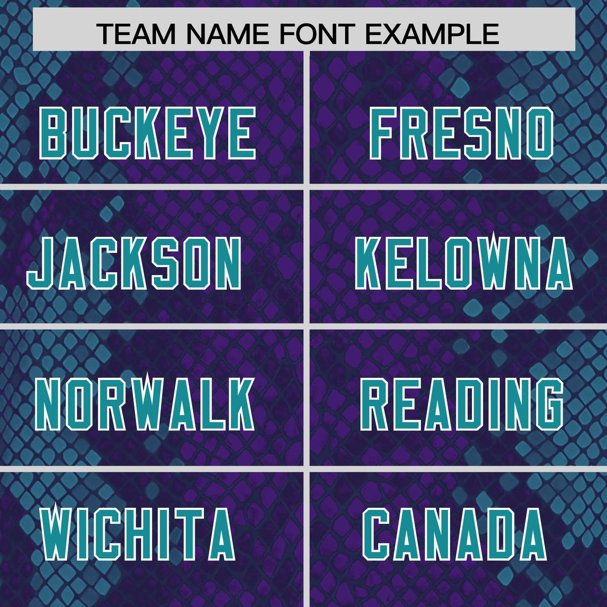 Custom Purple Personalized Snakeskin Graffiti Pattern Authentic Football Jersey