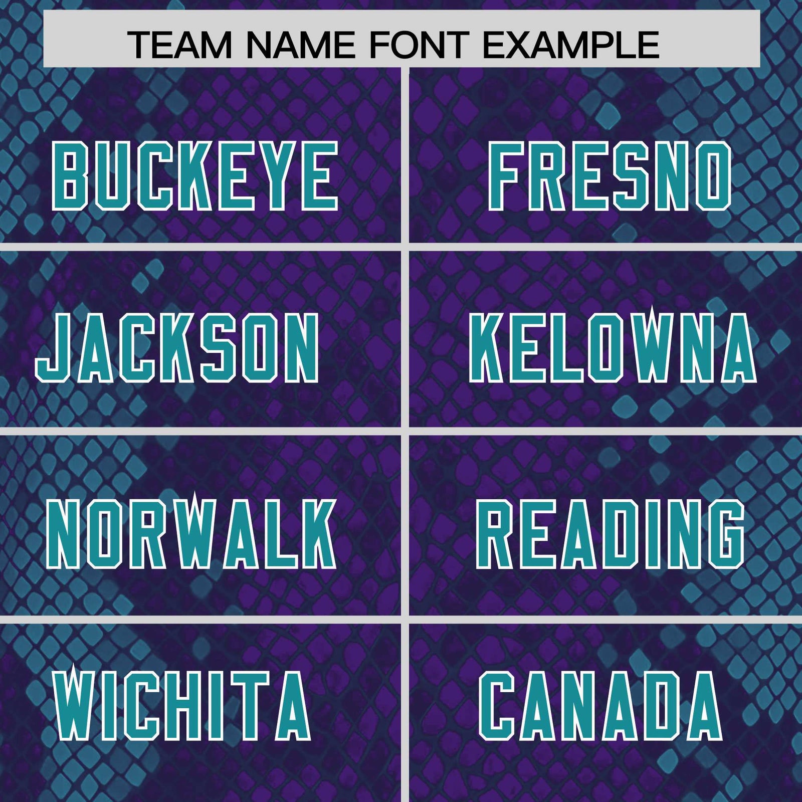 Custom Purple Personalized Snakeskin Graffiti Pattern Authentic Football Jersey