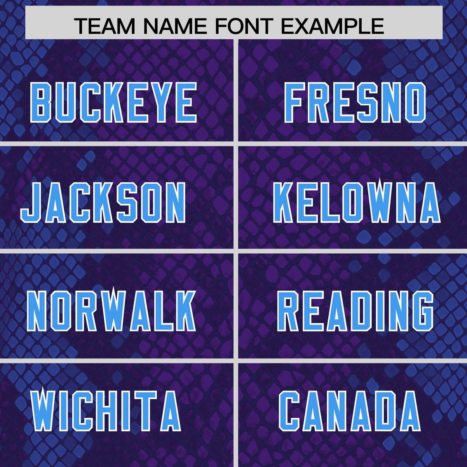 Custom Purple Personalized Snakeskin Graffiti Pattern Authentic Football Jersey