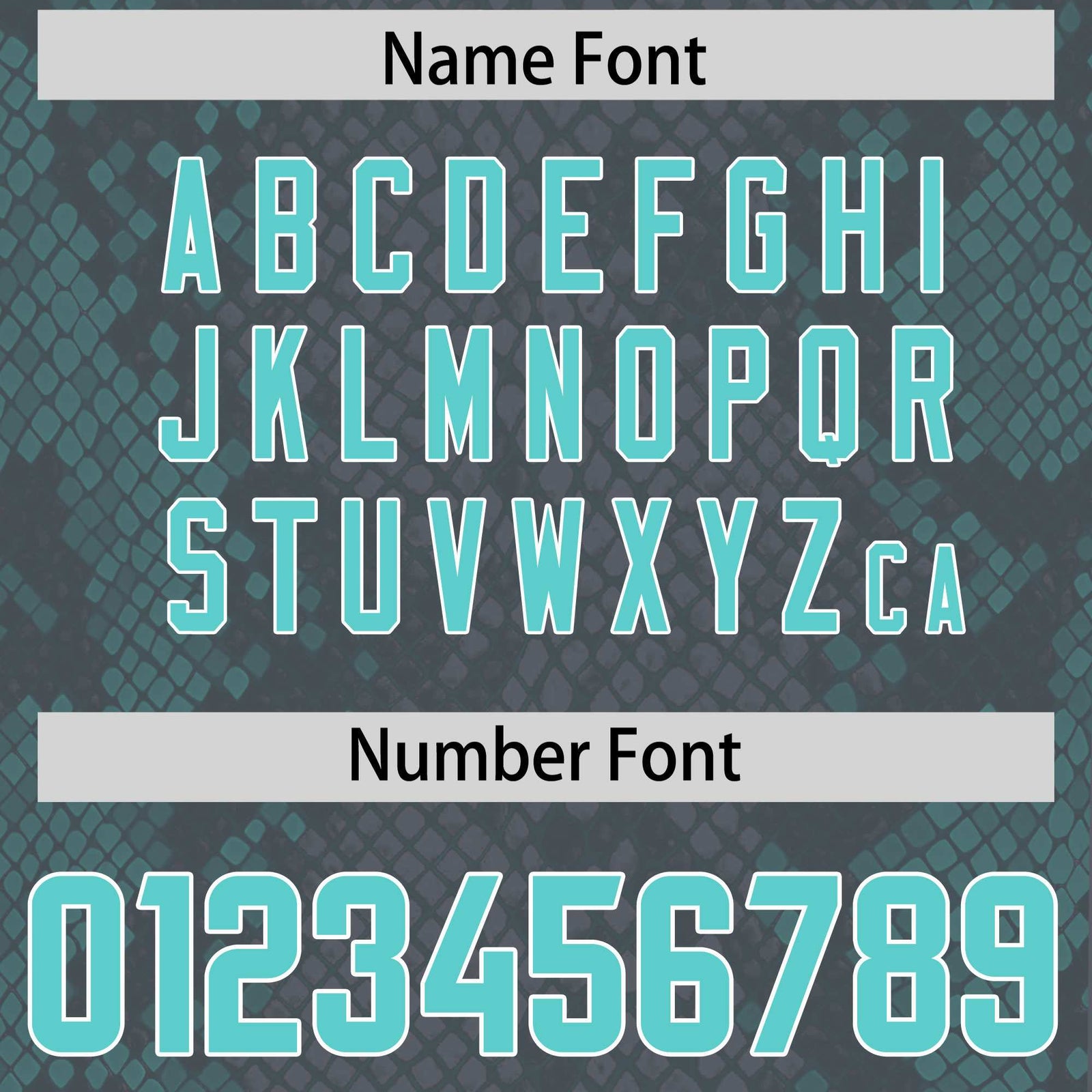 Custom Gray Personalized Snakeskin Graffiti Pattern Authentic Football Jersey