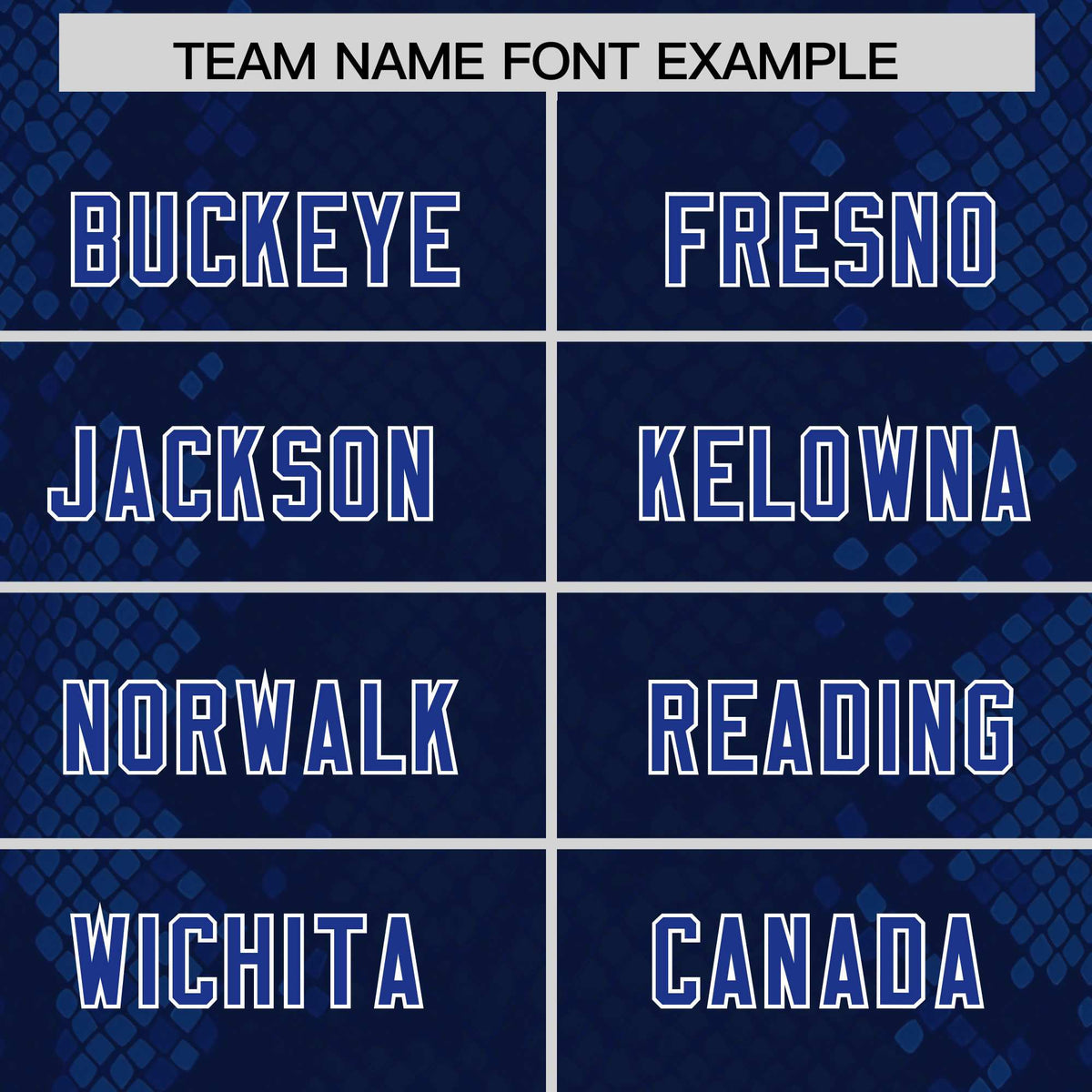 Custom Navy Personalized Snakeskin Graffiti Pattern Authentic Football Jersey