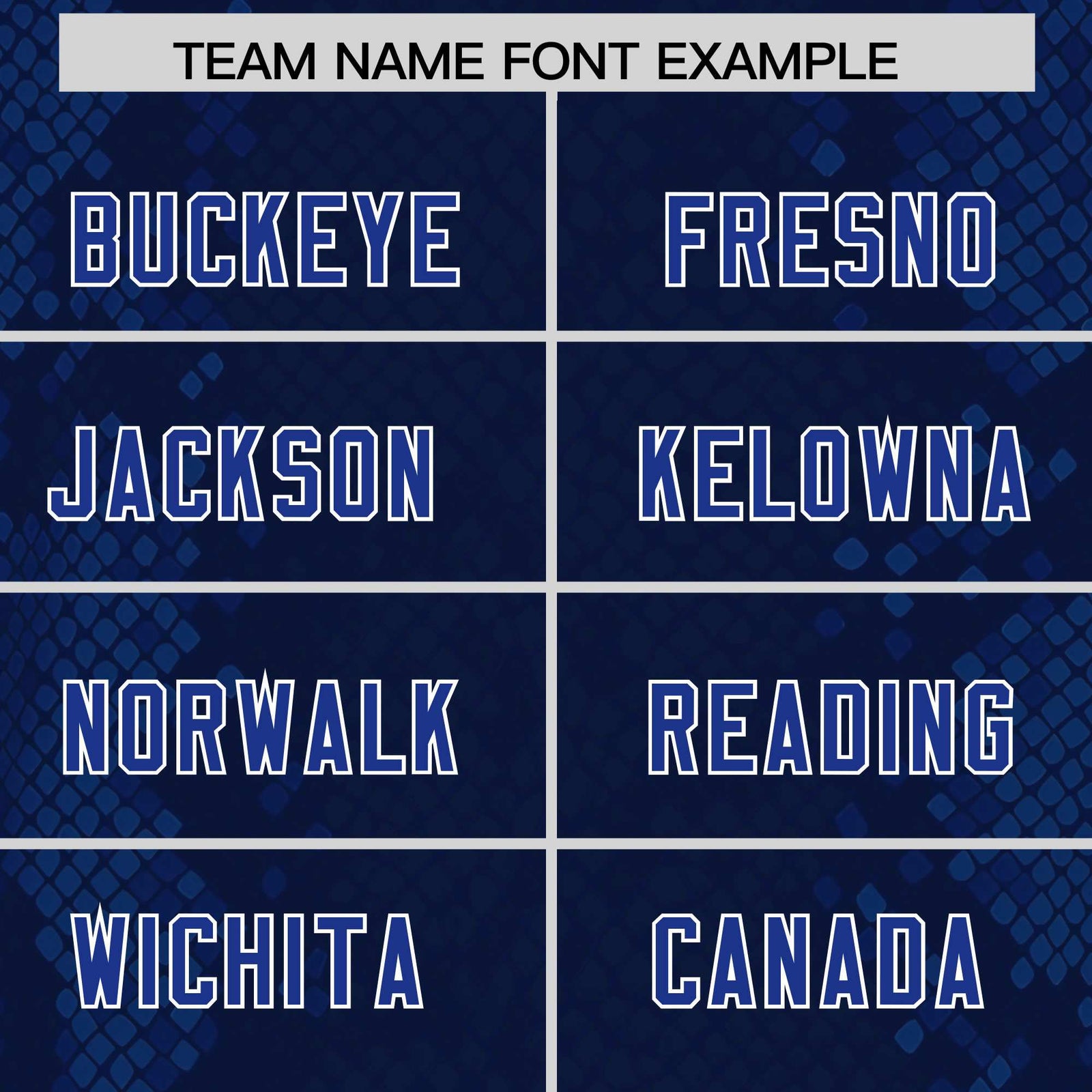 Custom Navy Personalized Snakeskin Graffiti Pattern Authentic Football Jersey