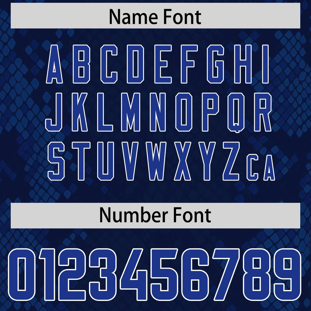 Custom Navy Personalized Snakeskin Graffiti Pattern Authentic Football Jersey