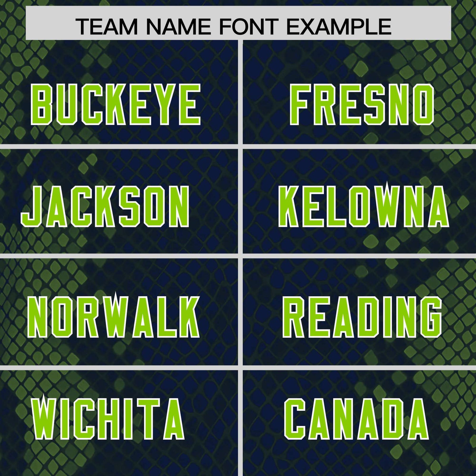 Custom Navy Personalized Snakeskin Graffiti Pattern Authentic Football Jersey