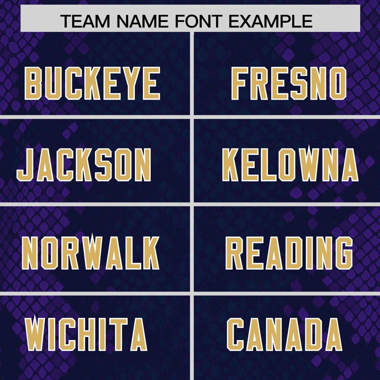 Custom Navy Personalized Snakeskin Graffiti Pattern Authentic Football Jersey