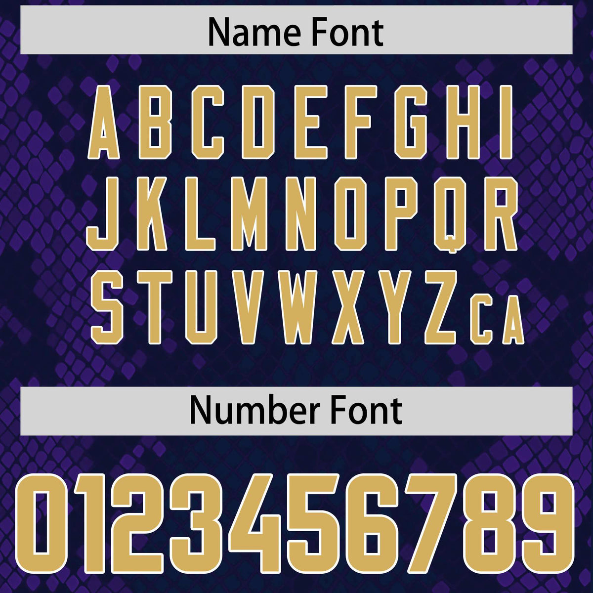 Custom Navy Personalized Snakeskin Graffiti Pattern Authentic Football Jersey