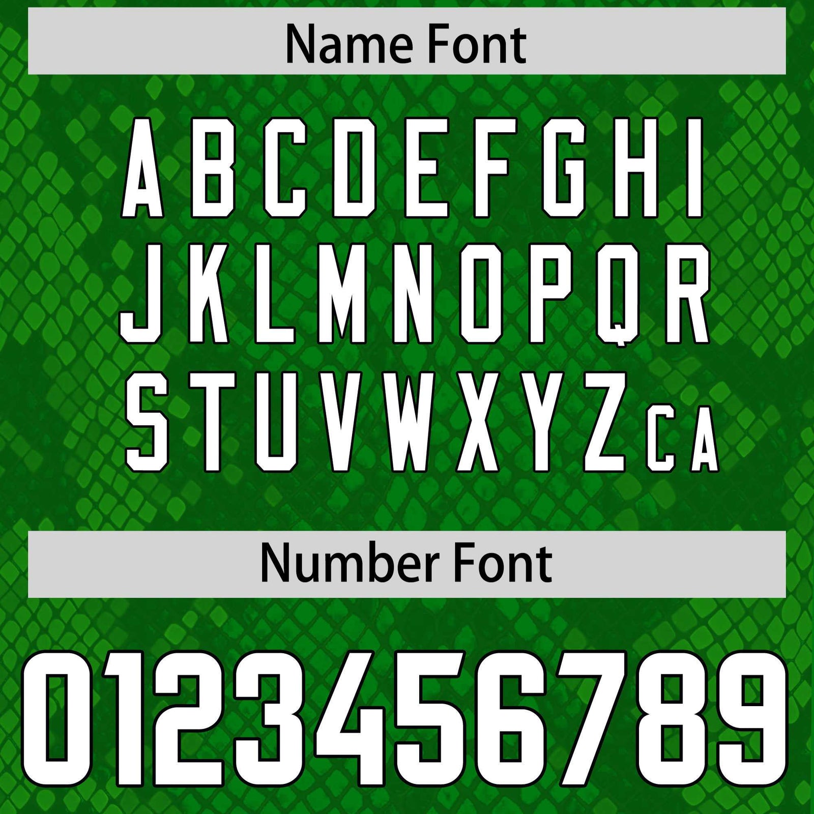 Custom Kelly Green Personalized Snakeskin Graffiti Pattern Authentic Football Jersey