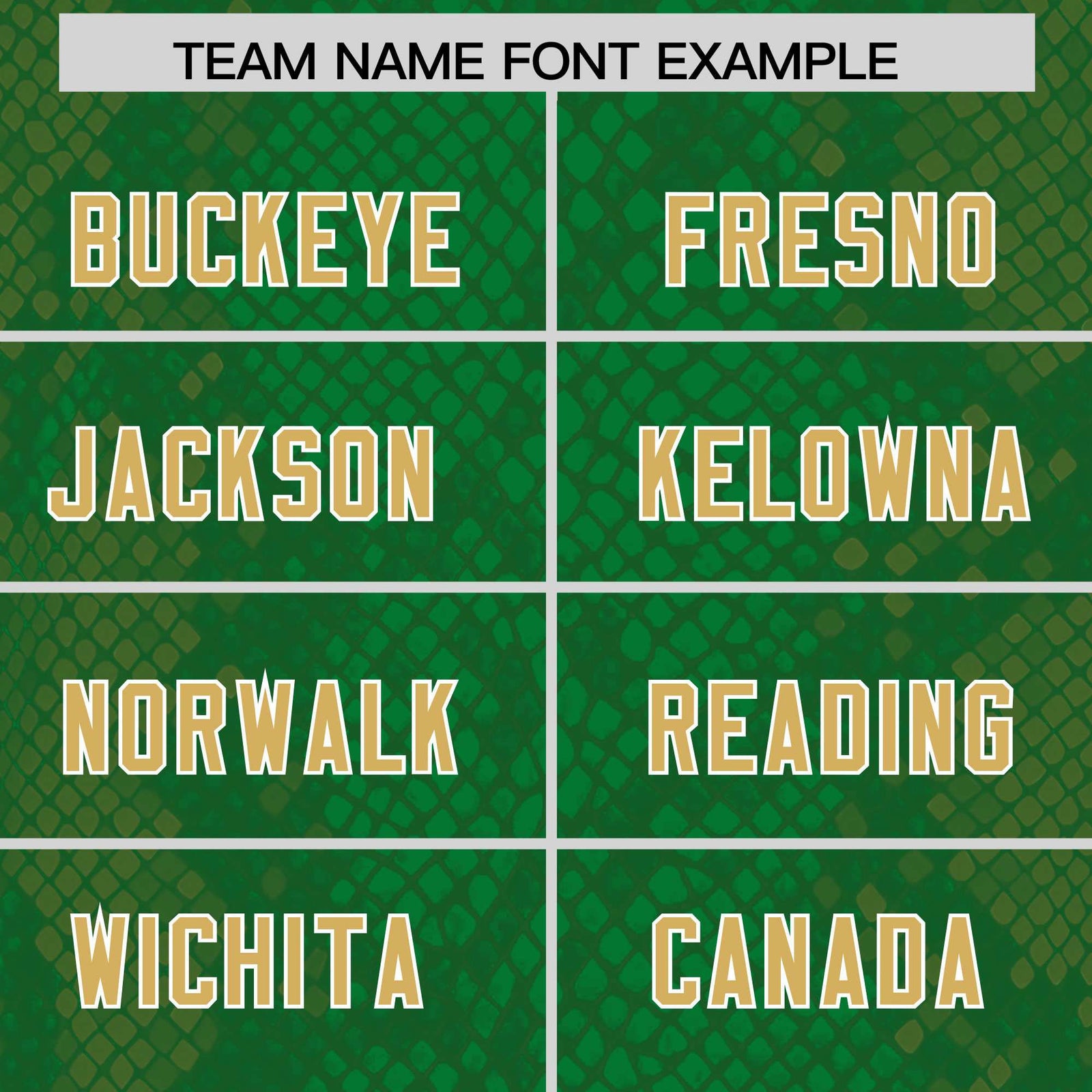 Custom Kelly Green Personalized Snakeskin Graffiti Pattern Authentic Football Jersey