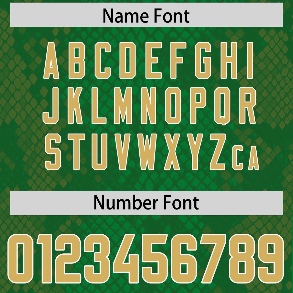 Custom Kelly Green Personalized Snakeskin Graffiti Pattern Authentic Football Jersey