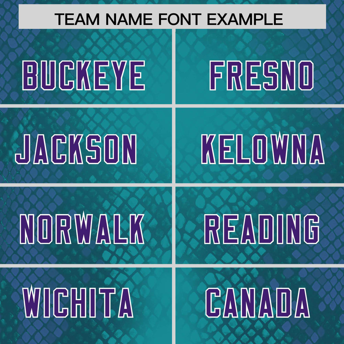 Custom Aqua Personalized Snakeskin Graffiti Pattern Authentic Football Jersey