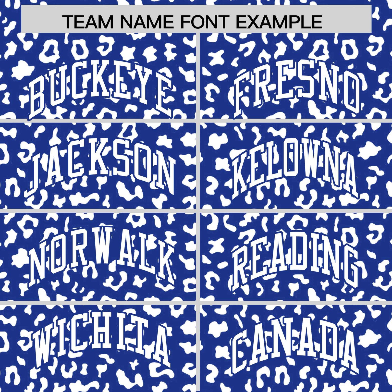 Custom Royal White Varsity Full-Zip Letterman Leopard Print Hoodie Jacket