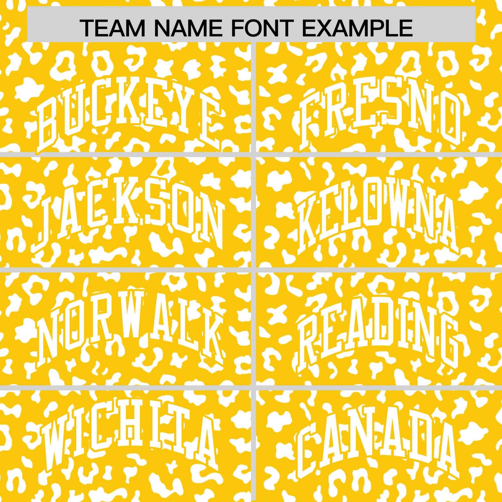 Custom Orange Black Varsity Full-Zip Letterman Leopard Print Hoodie Jacket