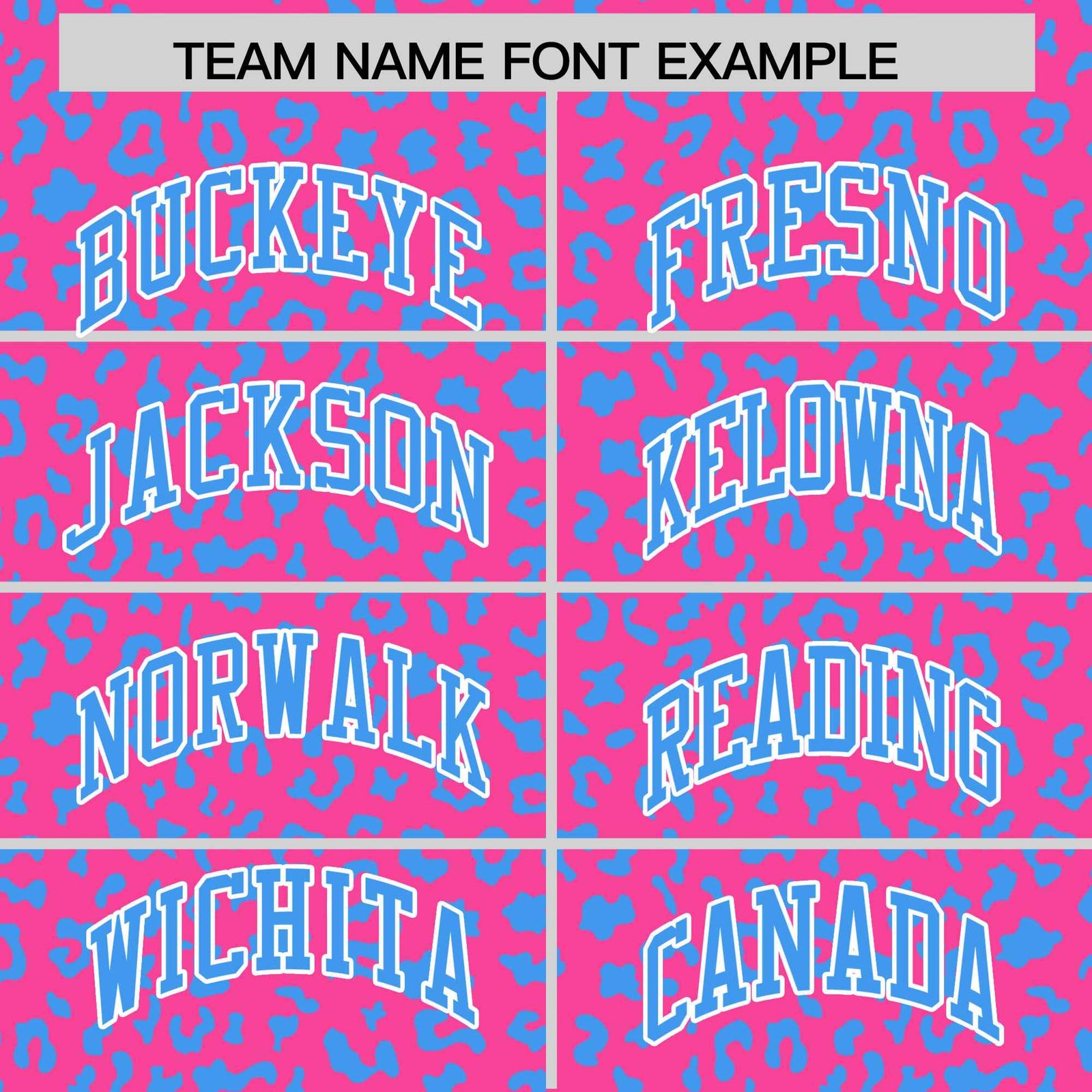 Custom Pink Powder Blue Varsity Full-Zip Letterman Leopard Print Hoodie Jacket