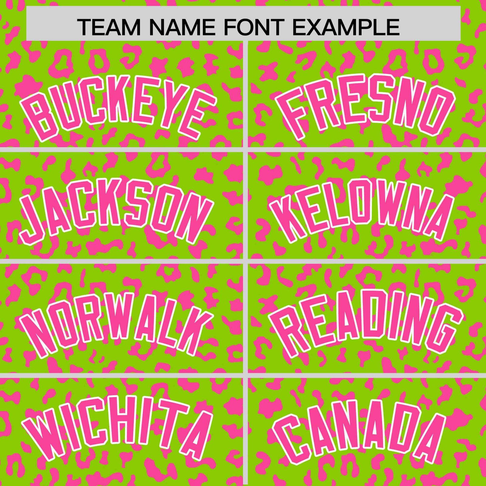 Custom Neon Green Pink Varsity Full-Zip Letterman Leopard Print Hoodie Jacket