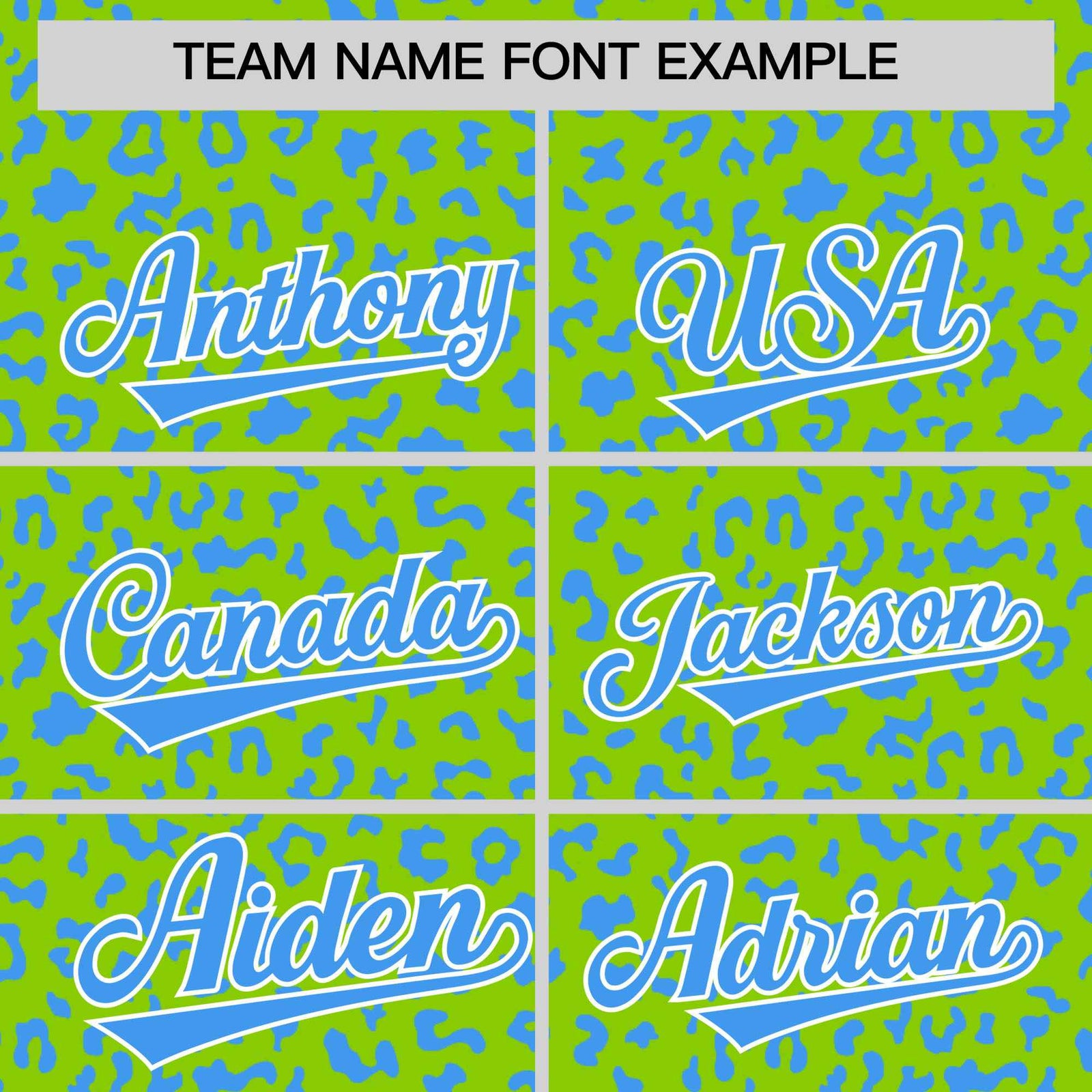 Custom White Kelly Green Varsity Full-Zip Letterman Leopard Print Hoodie Jacket