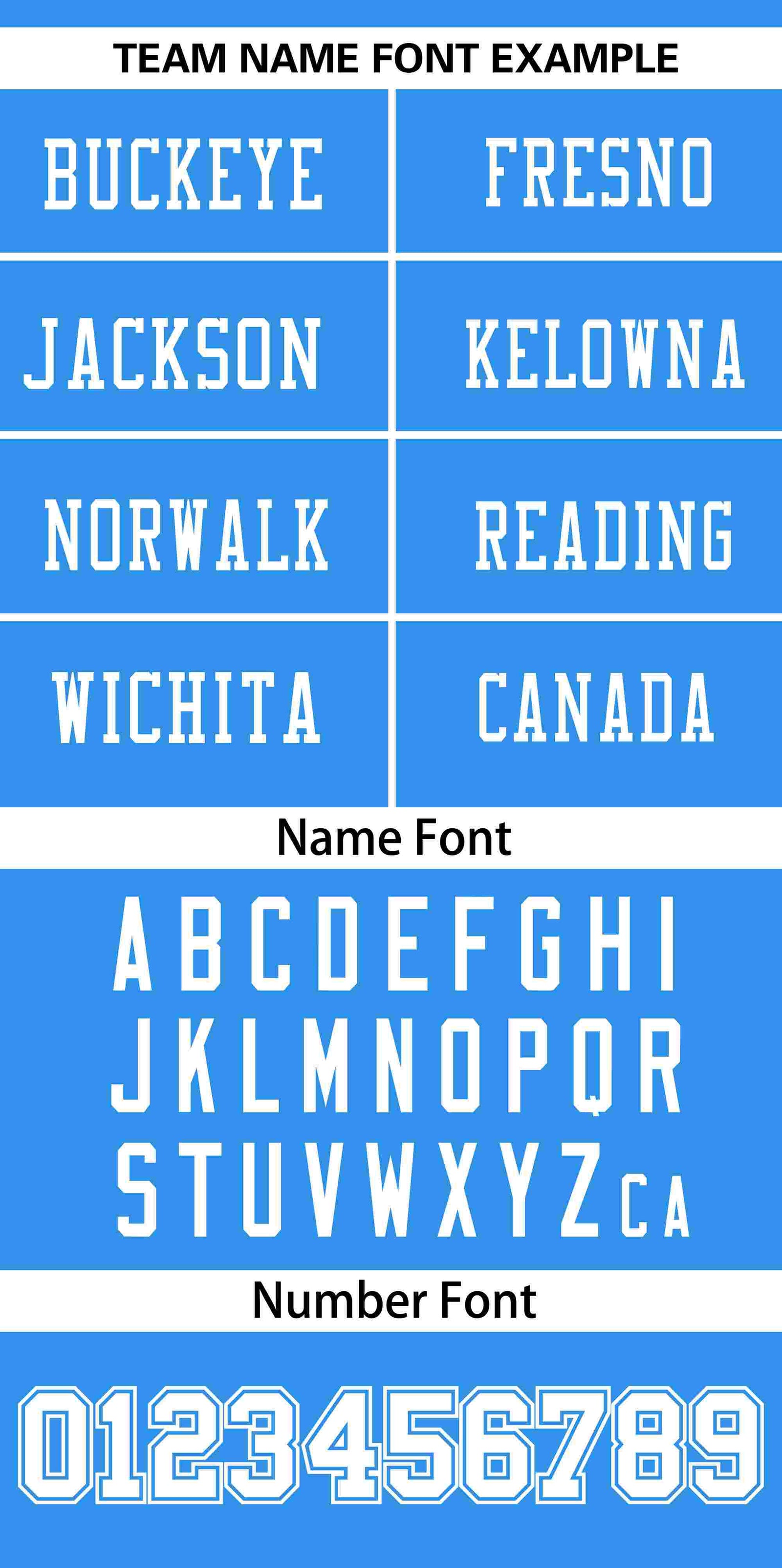 Custom Panther Blue White Insert Color Design Mesh Authentic Football Jersey