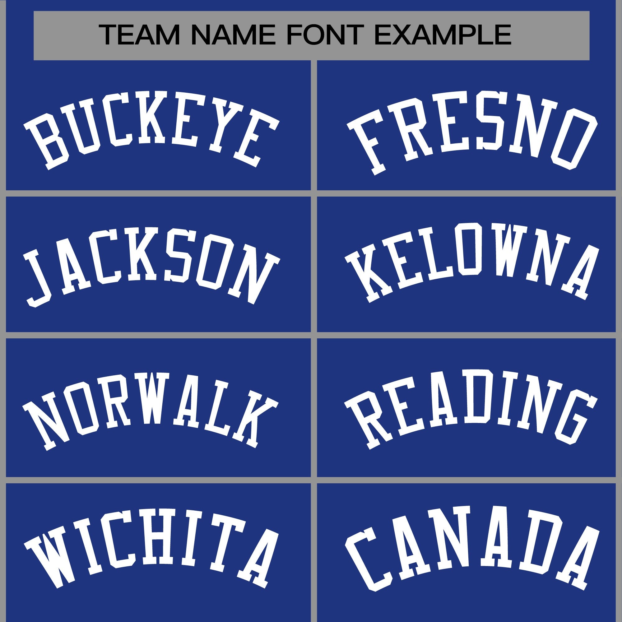 Custom Royal White Classic Style Varsity Full-Snap Letterman Jacket