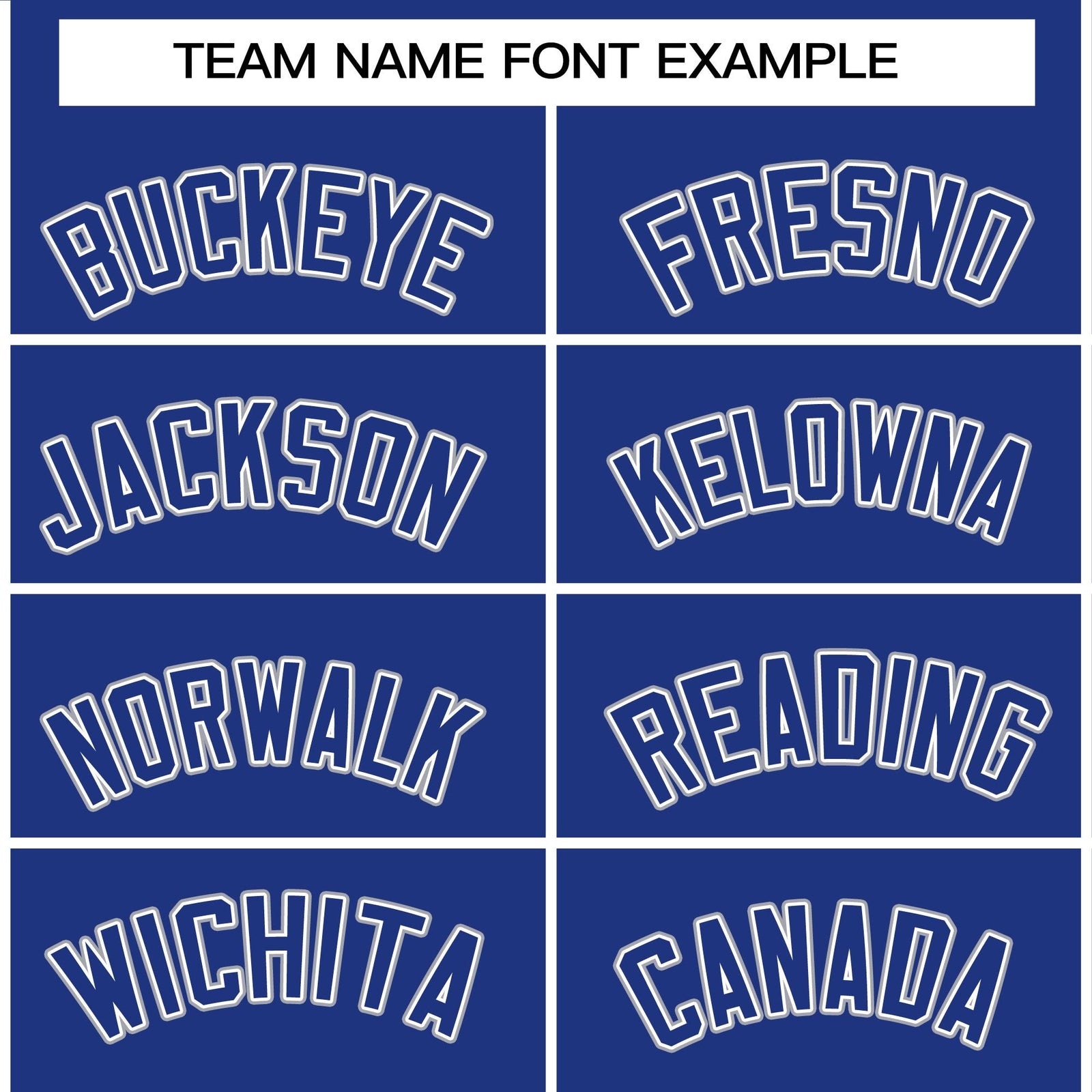 Custom Royal Royal-White Raglan Sleeves Varsity Full-Snap Letterman Jacket